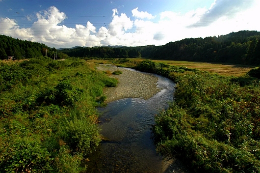 yama-no-hana