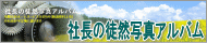 �В��̓k�R�ʐ^�A���o��