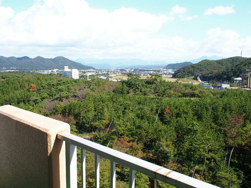 PA072712.jpg