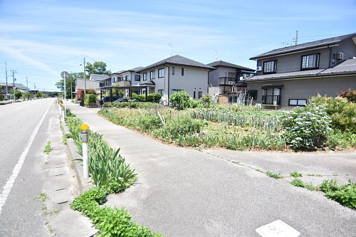 飯野売地