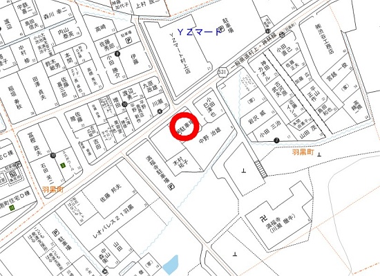 yokoiP02.jpg