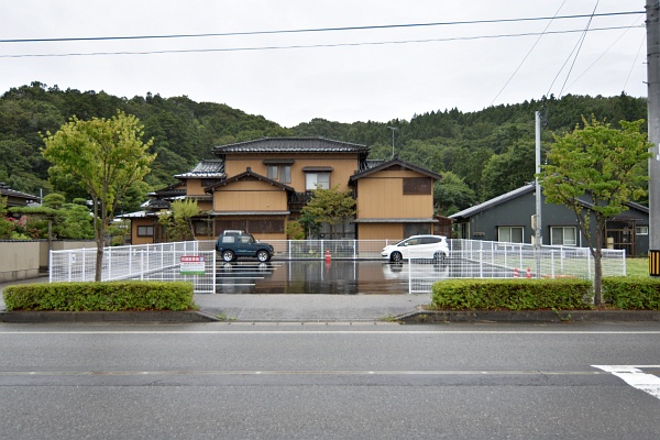 yokoiP22.jpg