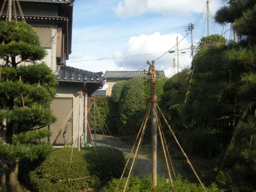 ota03.jpg