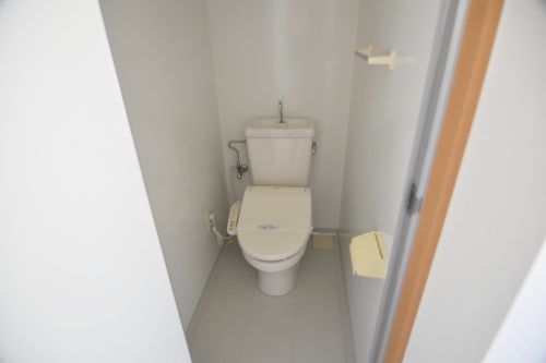 wst008.jpg
